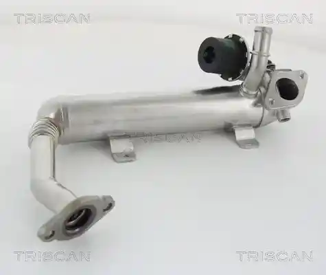 TRISCAN 8813 29319