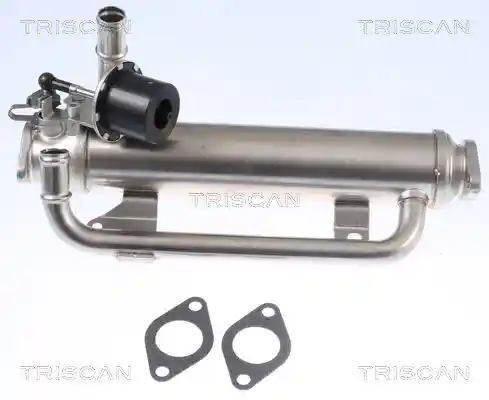 TRISCAN 8813 29320