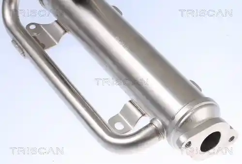 TRISCAN 8813 29320
