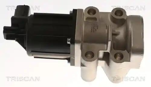 TRISCAN 8813 42002
