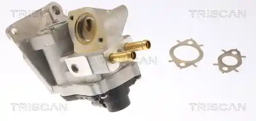 TRISCAN 8813 42002