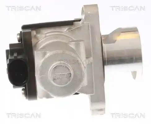 TRISCAN 8813 43010