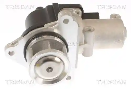 TRISCAN 8813 43010
