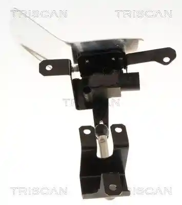 TRISCAN 8829 29020