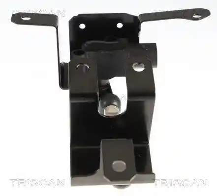 TRISCAN 8829 29021