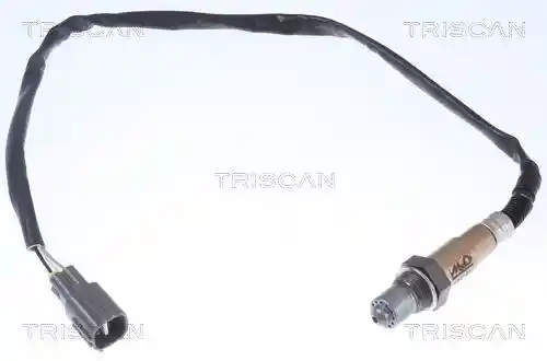 TRISCAN 8845 13076