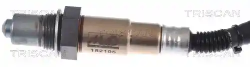 TRISCAN 8845 13076