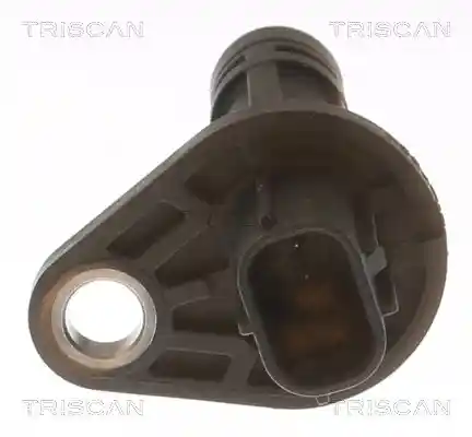 TRISCAN 8855 13121