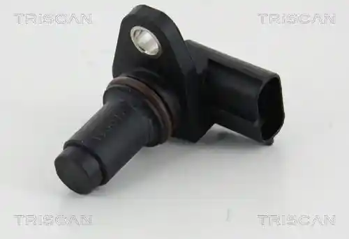 TRISCAN 8855 17110