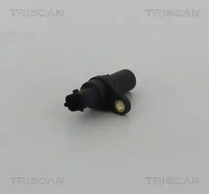 TRISCAN 8855 24111
