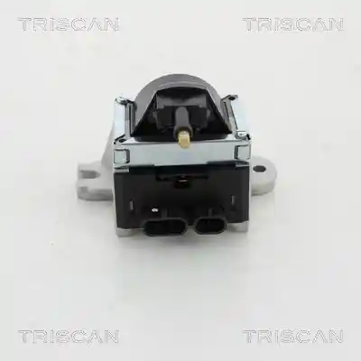 TRISCAN 8860 10019