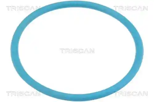TRISCAN 8900 10020