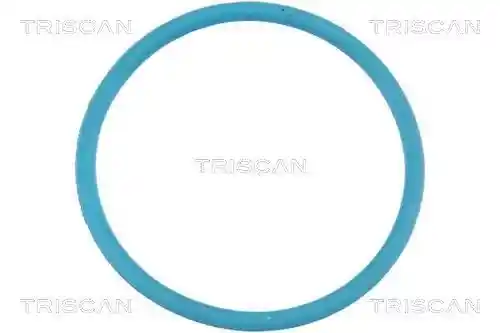 TRISCAN 8900 10020