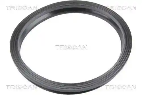 TRISCAN 8900 10038