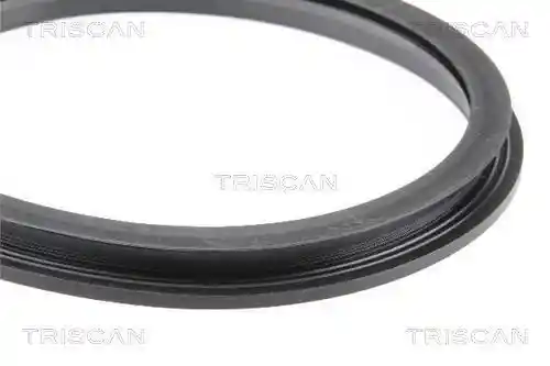 TRISCAN 8900 10038