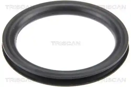 TRISCAN 8900 10049