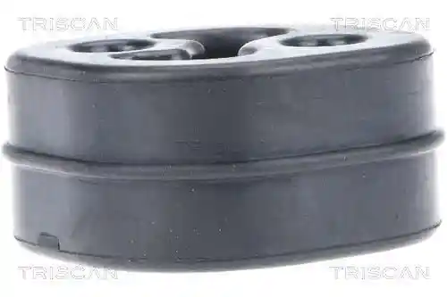 TRISCAN 8900 10210