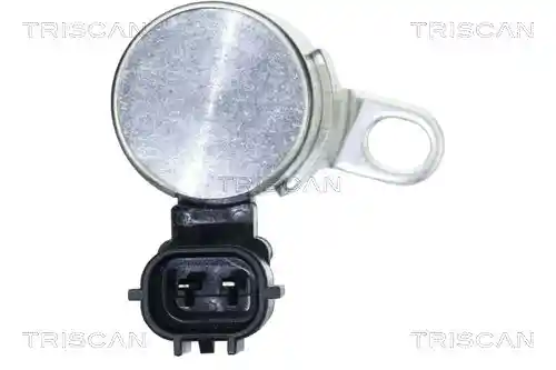 TRISCAN 8900 13013