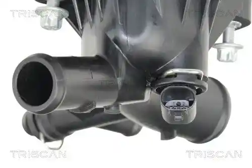 TRISCAN 8900 24018