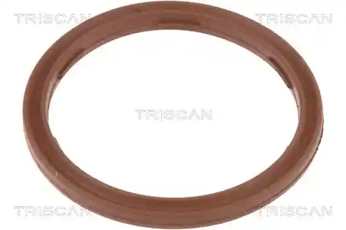 TRISCAN 8900 29086
