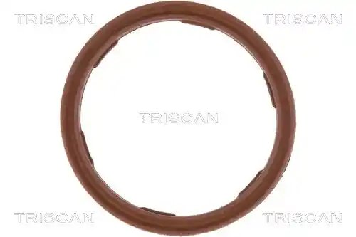 TRISCAN 8900 29086