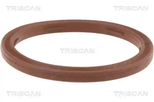 TRISCAN 8900 29086