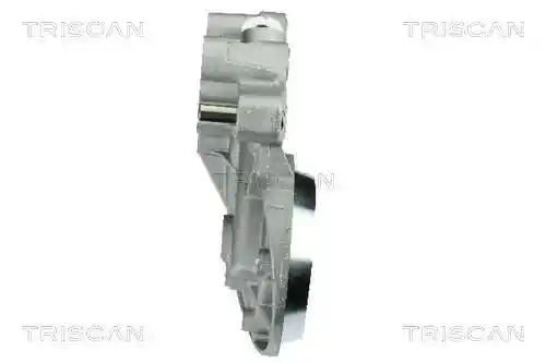 TRISCAN 8900 29318