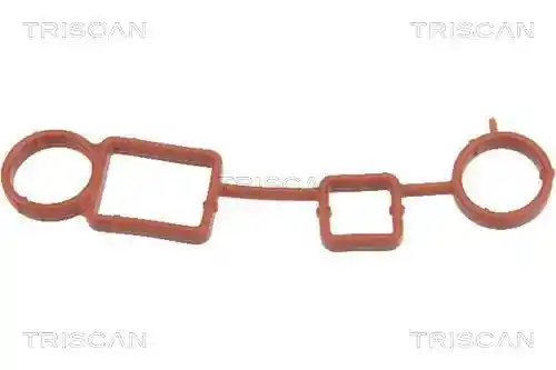 TRISCAN 8900 29531