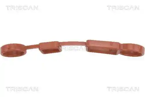 TRISCAN 8900 29531