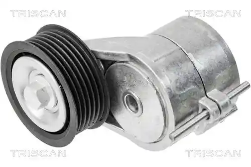TRISCAN 8900 29599