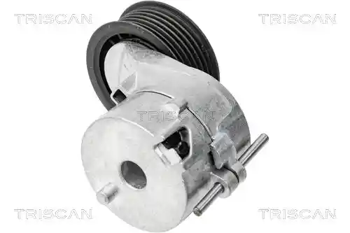 TRISCAN 8900 29599
