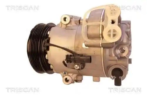 TRISCAN 9020 24001