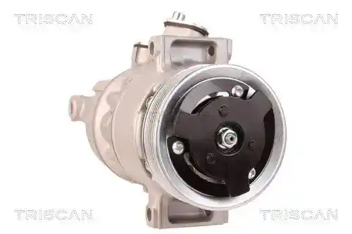 TRISCAN 9020 29001