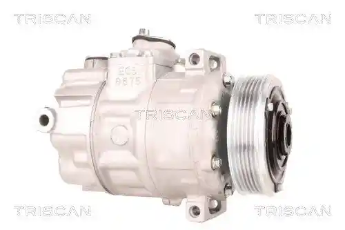 TRISCAN 9020 29002
