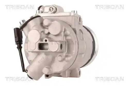 TRISCAN 9020 29012
