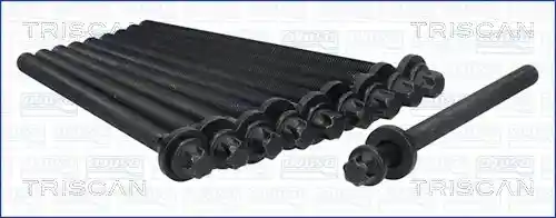 TRISCAN 98-5010 TRISCAN 98-5010