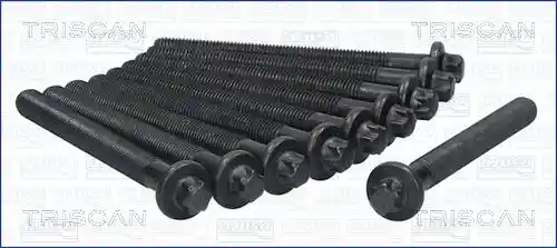 TRISCAN 98-6014