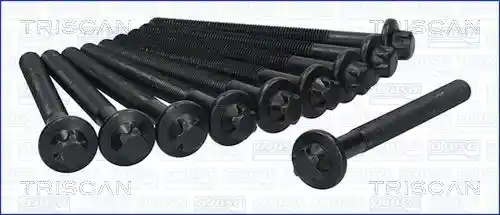 TRISCAN 98-6017