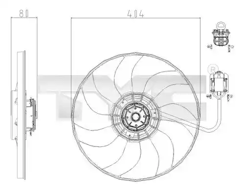 TYC 825-0019