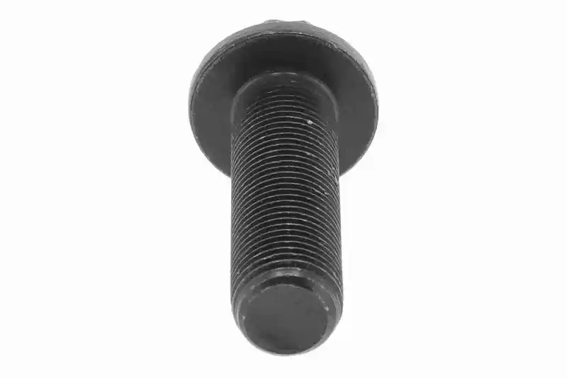 VAICO V10-000080