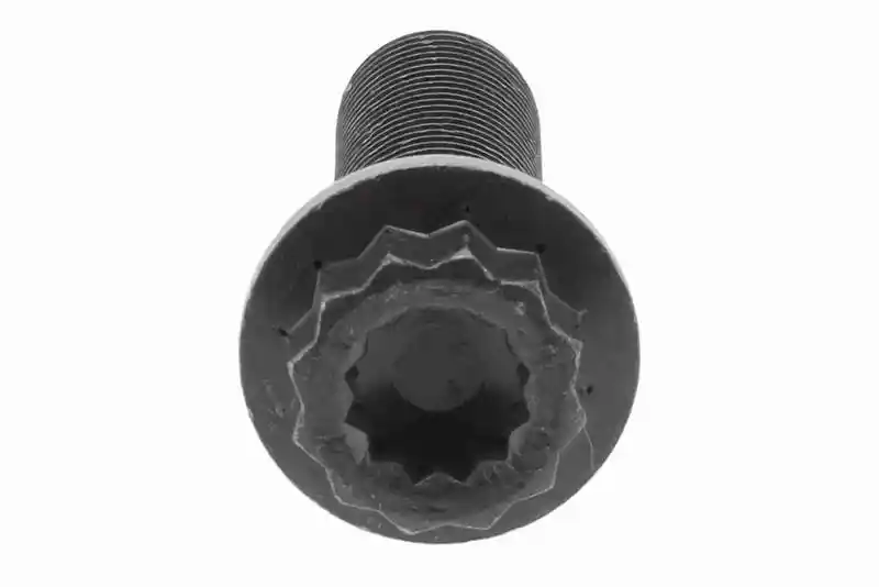 VAICO V10-000080