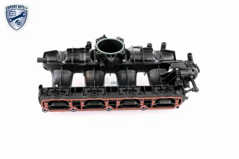 VAICO V10-3954
