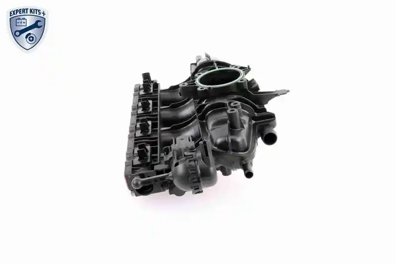 VAICO V10-3954