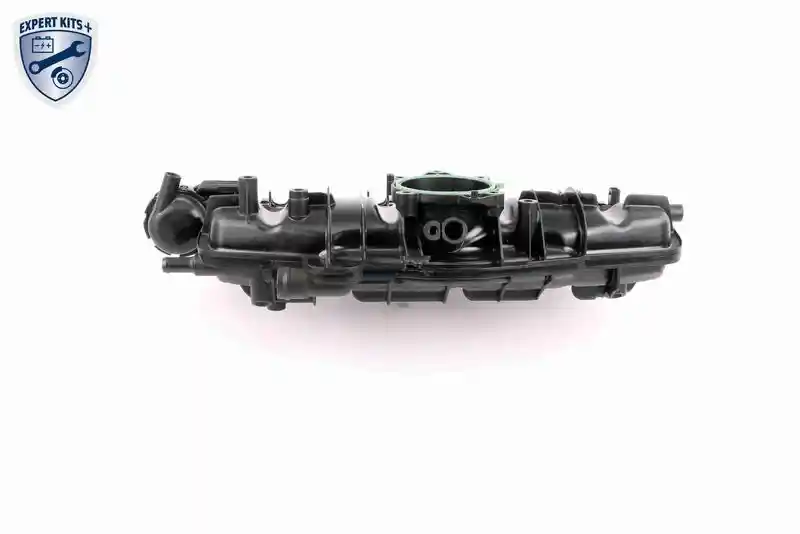 VAICO V10-3954