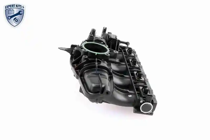 VAICO V10-3954