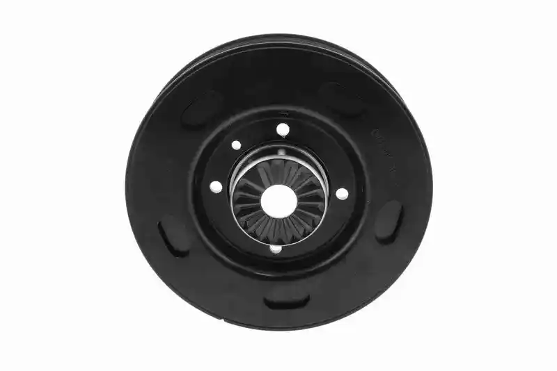VAICO V10-5424