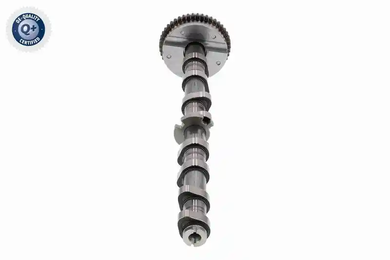 VAICO V10-5585