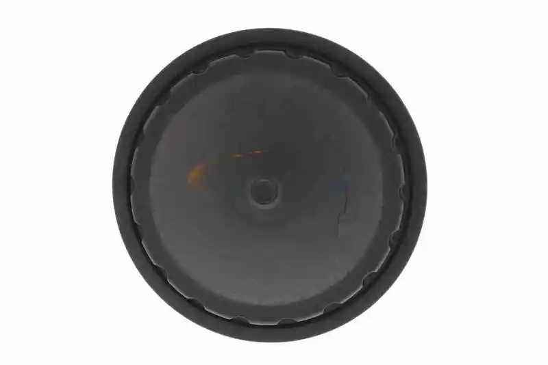 VAICO V21-0035