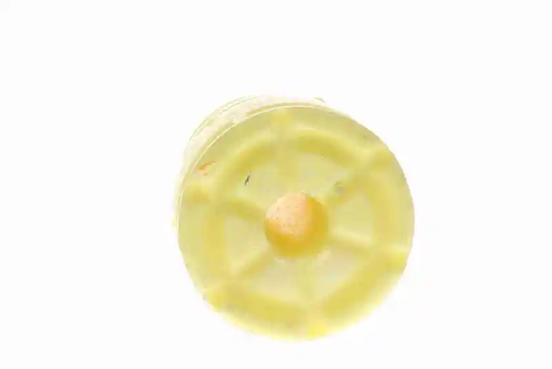 VAICO V22-0166 VAICO V22-0166