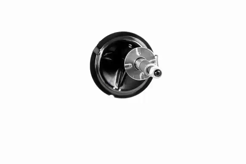 VAICO V22-0541